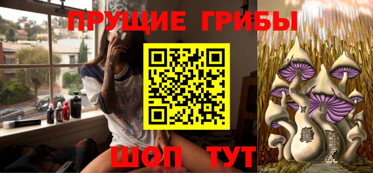 Псилоцибиновые грибы Psilocybine cubensis  Вход с VPN  Новочебоксарск 