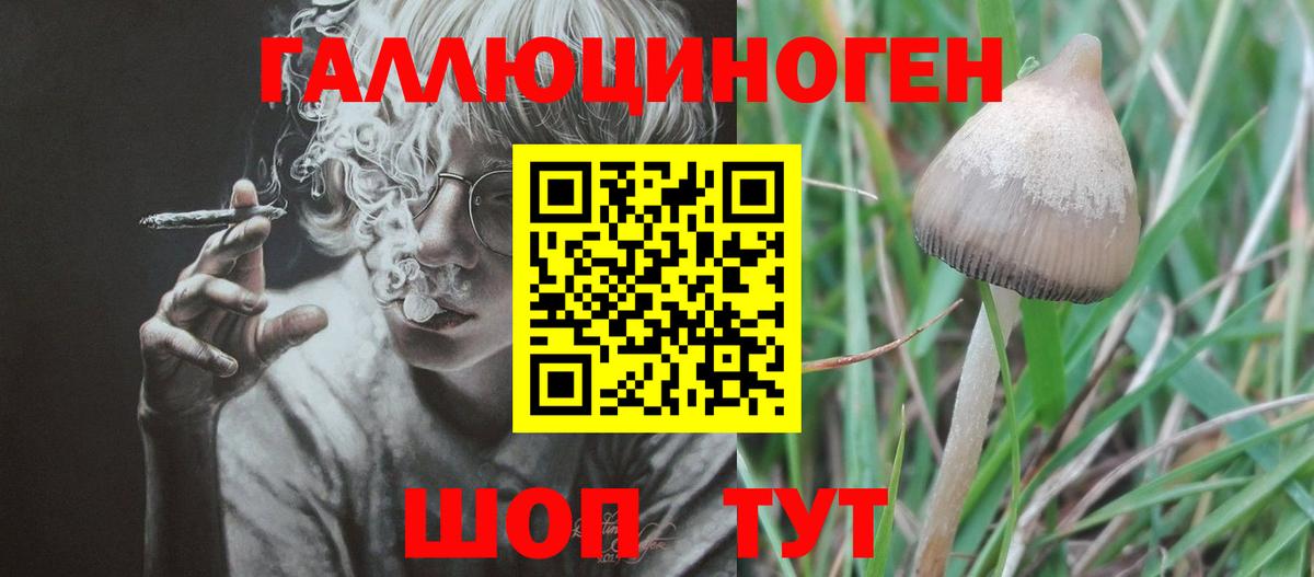 Галлюциногенные грибы MAGIC MUSHROOMS Новочебоксарск
